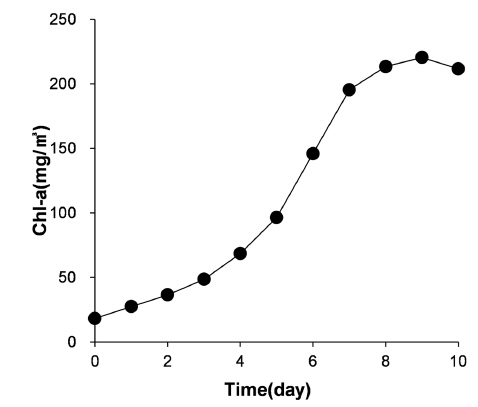 Growth of algae as a function of time.