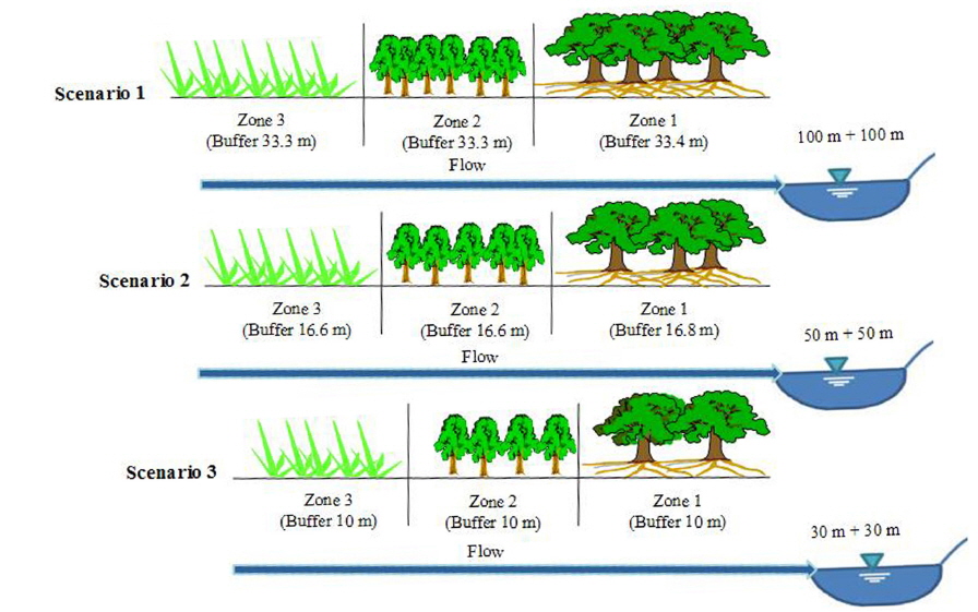 Three riparian buffer system scenarios simullated in this study.