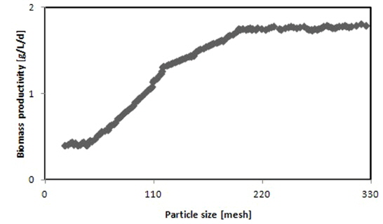 Biomass productivity by different particle size of acorn.