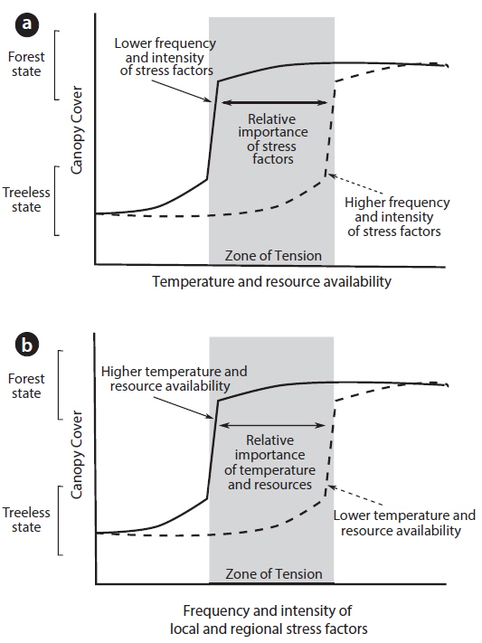 Model of the combined effects of temperature/resource availability and local/regional stress factors (e.g., freezing temperatures, snow pack, wind or high solar radiation) on canopy cover at the treeline. In two alternative representations of the same model: (a) canopy cover is shown as a function of temperature and resource availability, and (b) canopy cover is shown as a function of local and regional stress factors. Alternative stable states of forest and treeless alpine vegetation exist under the same external environmental conditions (zone of tension: grey area) depending on the frequency and intensity of local and regional stress factors. Abrupt transitions from forest to alpine vegetation or vice versa can occur at threshold temperature/resource conditions or due to disturbance by stress factors. Adapted from Murphy and Bowman (2012) and Malanson et al. (2011).