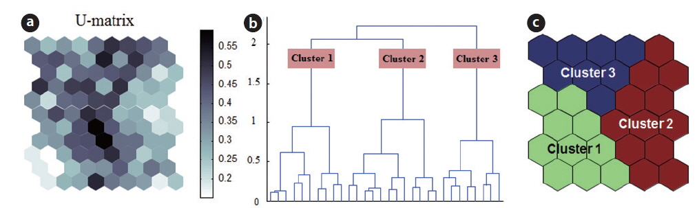 Clustering through data learning by the self-organizing map. (a) U-matrix, the right band shows the input value ranges distributed on the SOM plane, (b) clustering result, vertical axis indicates number code of input nodes (ranges between 0 and 2.5), and horizontal axis is similarity of the nodes, and (c) hierarchical dendrogram.