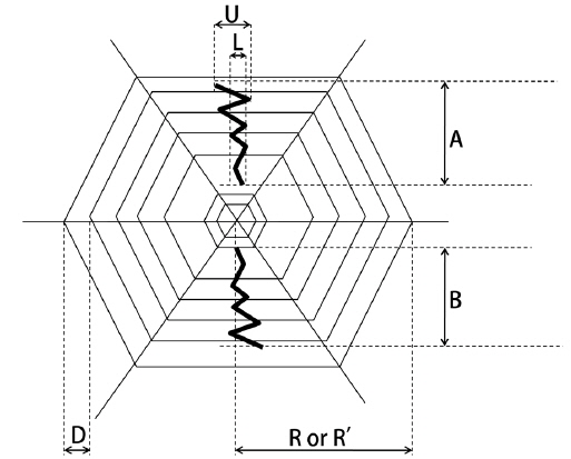 Illustration of Argiope bruennichi web measurements. R or R′, longer and shorter radii; A and B, stabilimentum lengths; U and L, upper and lower width of stabilimentum; D, mesh size.