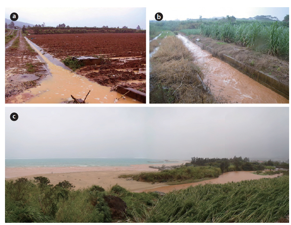 Red-soil discharge on Kume Island after heavy rain. (a) Red-soil discharge from farmland, (b) a small river polluted by red soil, and (c) red soil flowing into the sea.