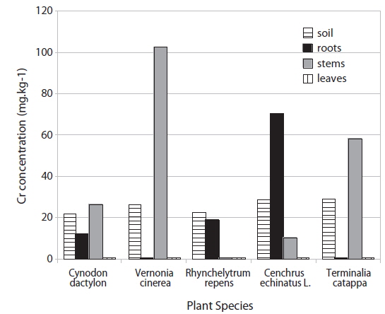 Level of chromium in plant and root-zone soil, Cebu City landfill, Philippines.