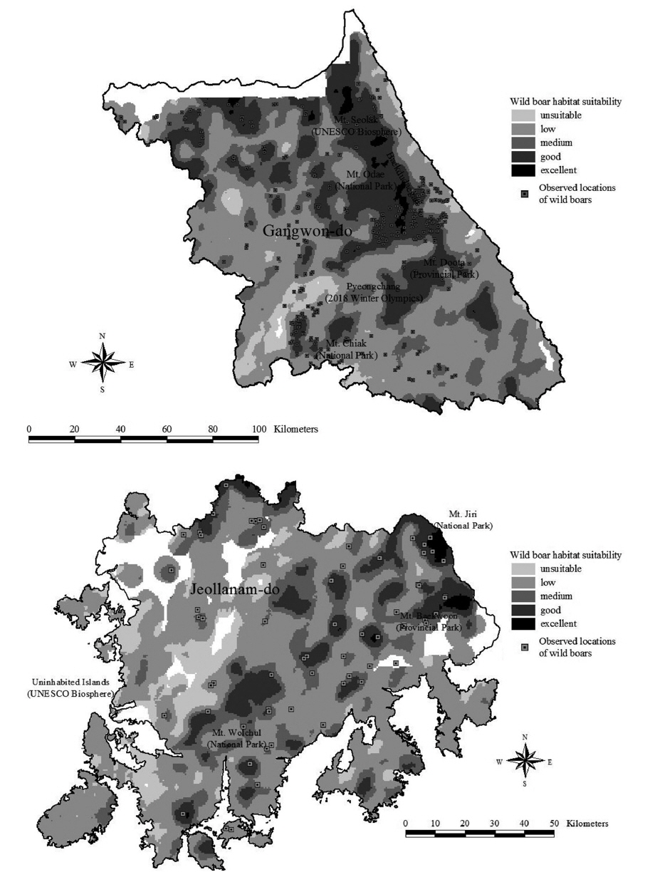 Habitat suitability maps and observed locations of wild boar in Gangwon-do and Jeollanam-do.
