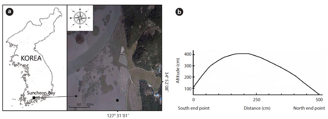 Location of study area (a) and topography of mound (b).