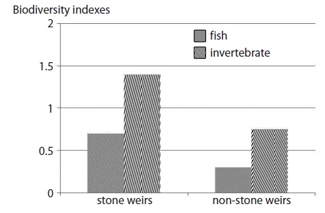 Biodiversity indexes of inter-tidal zones between stone weirs and non-stone weir areas.