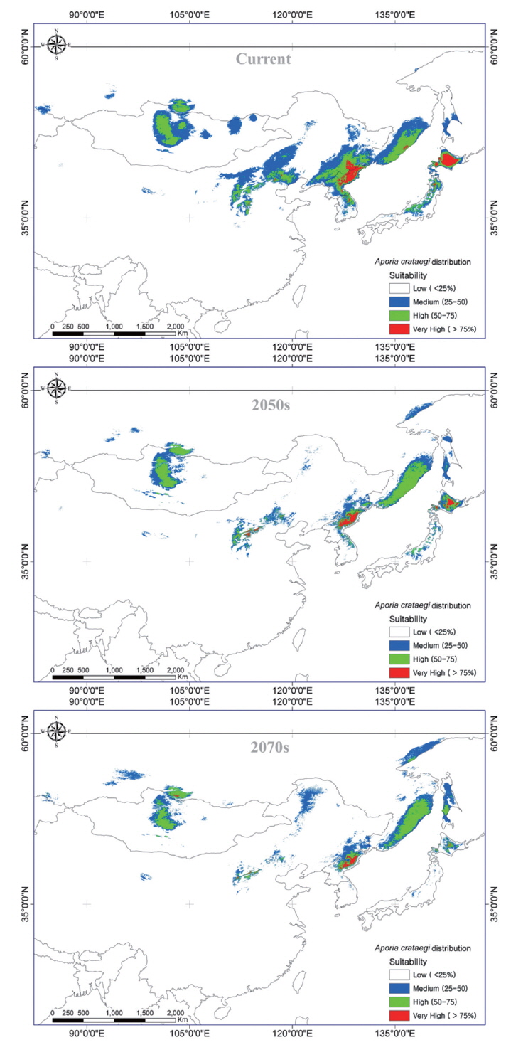 Simulated geographic distribution of Aporia crataegi in the northeast Asia using the MaxEnt model (Current → 2050s → 2070s).