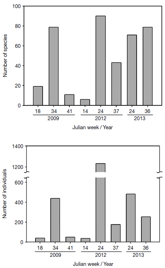 Temporal changes of numbers of species and individuals for three years (2009, 2012, and 2013) from Isl. Gageodo, Shinan-gun, Jeollanam-do, South Korea.