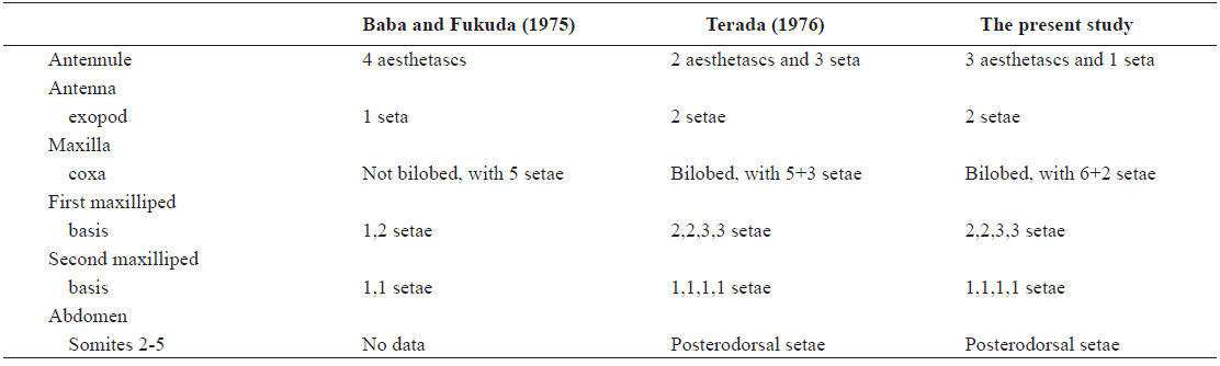 Morphological differences between the description of the first zoea of Sesarmops intermedius given by Baba & Fukuda (1975), Terada (1976) and that obtained in the present study