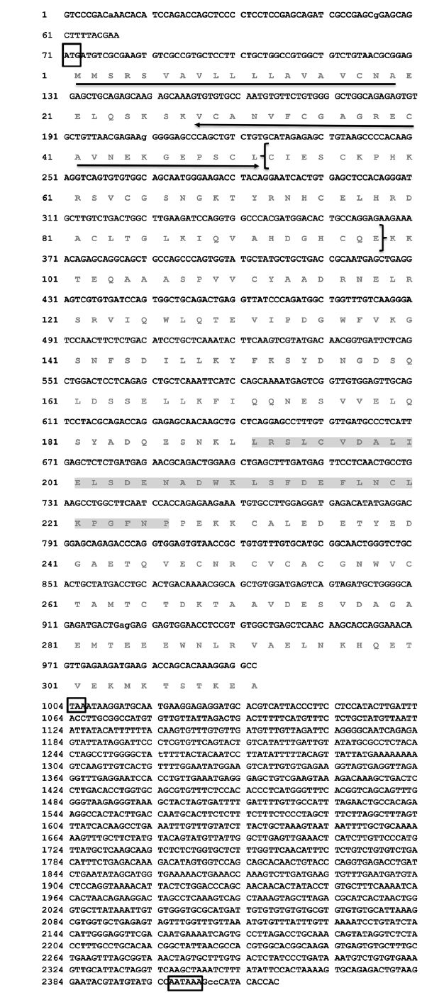 Nucleotide and amino acid sequences of RbFST. The nucleotide sequence (upper) and the deduced amino acid sequence (lower) are numbered. The start (ATG), stop (TAA) codons and poly (A) signal (AATAAA) are boxed. N-terminal signal peptide is underlined. The FST N-terminal domain-like domain is indicated with double headed arrows (Residues 28-51), Kazal type serine protease inhibitor domain is showed within “(Miyabe et al., 2014)”(Residues 51-96) and EF-hand calcium-binding domain profile is highlighted (Residues 191-226).