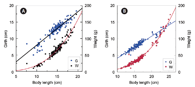 Relationships between body lengths and girths/weights of juveniles of two main bycatch species (A: sea bream, B: horse mackerel) in bottom trawls.