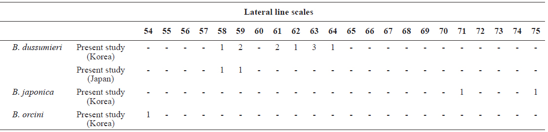 Number of lateral line scales in Brama dussumieri, Brama japonica, and Brama orcini