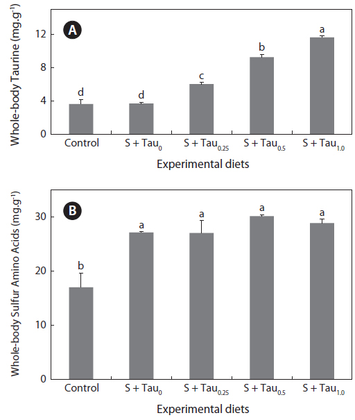 (a) Taurine and (b) sulfur amino acids (methionine plus cysteine) contents in whole-body of juvenile rock bream Oplegnathus fasciatus fed experimental diets prepared by adding fixed sulfur amino acids at 1% and graded taurine at 0%, 0.25%, 0.5% and 1.0% (S + Tau0.25, S + Tau0.5 and S + Tau1.0, respectively) to the Control diet. Different letter on each bar represents significant difference (P < 0.05). Error bars represent standard deviation.