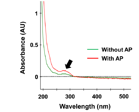 UV-visible spectra of silkworm powder supernatant.
