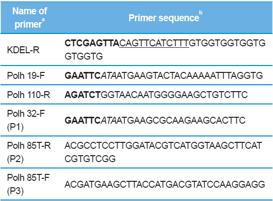 Primers used for amplification and sequencing in this study