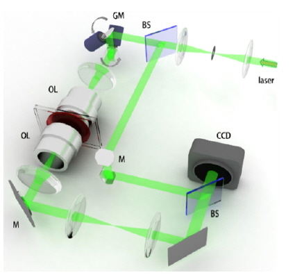 Experimental optics setup based on Mach-Zehnder interferometry equipped with a two-axis rotating mirror based on galvanometer. BS: beam splitter; GM: galvanometer mirror; OL: objective lens; M: mirror; CCD: camera.