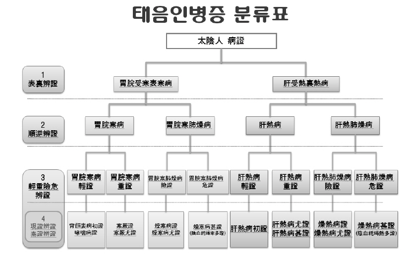 Classification of Taeeumin symptomatology