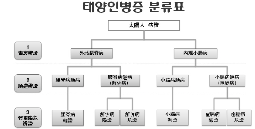 Classification of Taeyangin symptomatology
