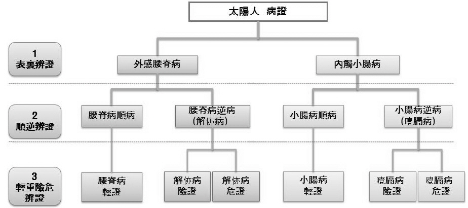 Classification of Taeyangin symptomatology