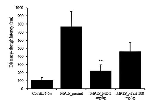Effects of Modified Yuldahanso-tang (MYH) the spatial working memory deficits of the distance movement-through type Morris water maze test in the MPTP-induced Parkinson's disease mice.