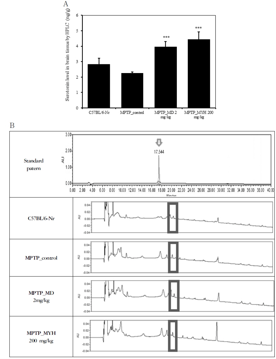 Effects of Modified Yuldahanso-tang (MYH) on the levels of serotonin in the brain tissue in the MPTP -induced Parkinson's disease mice
