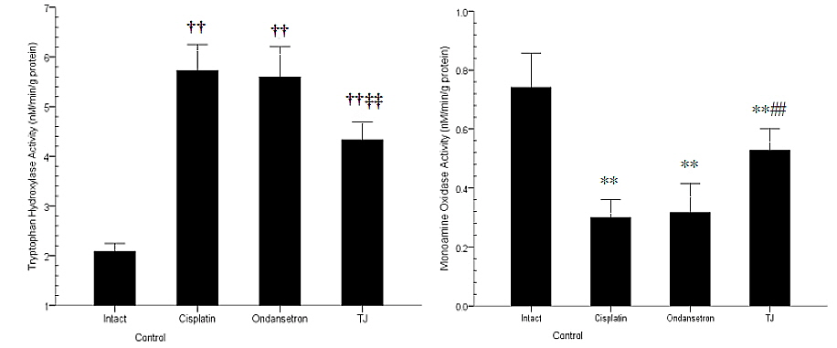Changes on the pyloric serotonin metabolic enzyme activities in cisplatin-treated rats