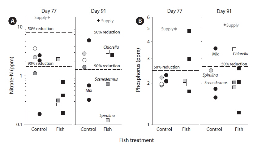 Nitrate-N (A) and phosphorus (B) in water in experimental tanks with algae compared to supplied wastewater. Each data point represents an individual tank. Crosses indicate supply water. Circles indicate tanks without fish and squares indicate tanks with fish added. Symbol color indicates taxonomic composition of monocultures (white, Chlorella; dark gray, Scenedesmus; gray, Spirulina; black, mixed).
