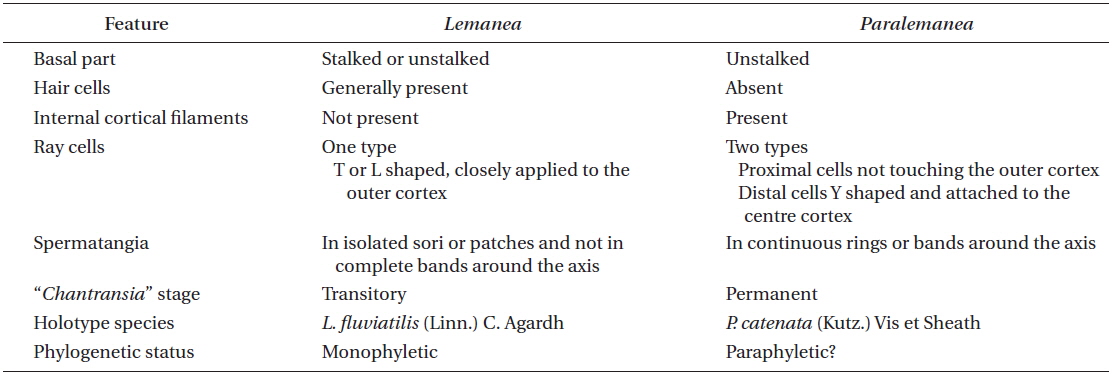 Diagnostic differences between Lemanea and Paralemanea