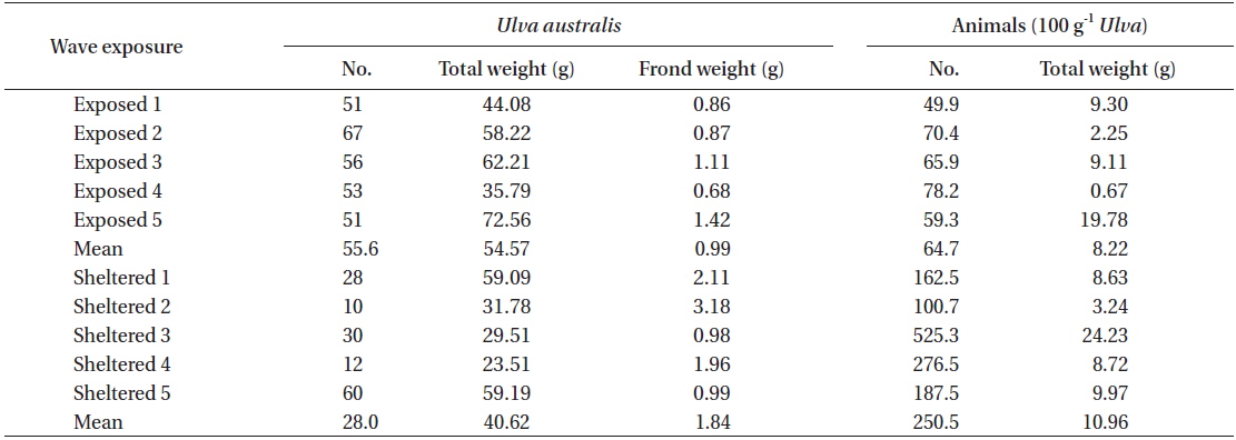 Weight of Ulva australis and abundance of residential animals collected at the wave exposed and sheltered shores of Seongsan, Jeju, Korea