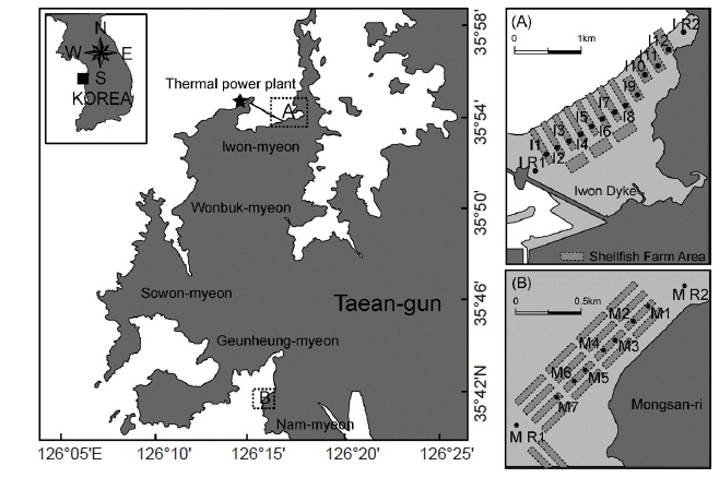 The map showing the sampling sites of intertidal sediment in the study region (A: Iwon tidal flat, B: Mongsan tidal flat).