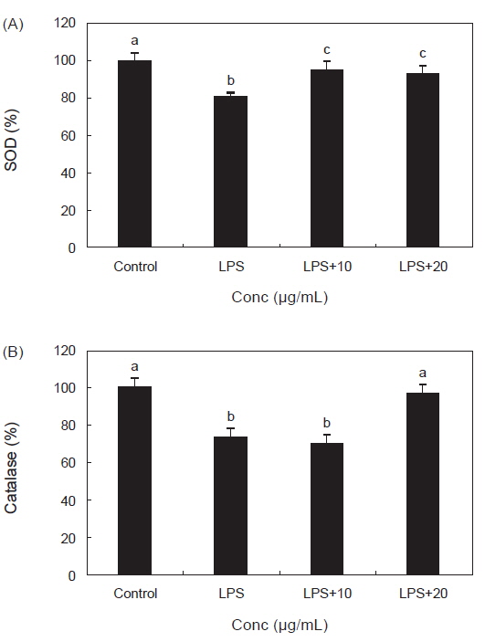Effect of Pyropia yezoensis extract on antioxidant enzyme activities in LPS stimulated RAW 264.7 cells.