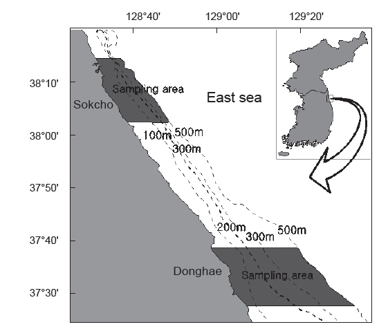 Map showing the trammel net survey area in the coastal waters of Sokcho and Donghae in Gangwon Province of Korea.