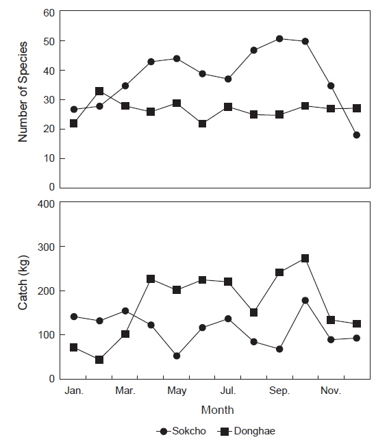 Monthly variation of species number (upper) and catch (lower) collected by trammel net in the coastal waters of Sokcho and Donghae in Gangwon Province of Korea.