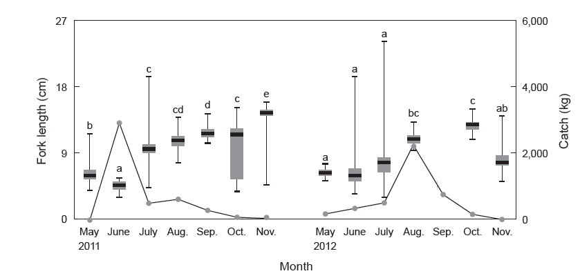 Monthly changes in fork length (cm) and total catch (kg) of jack mackerel Trachurus japonicus using the data of quantitative analysis caught during a set net fishery (2011-2012). Boxes represent the median, 25th and 75th percentiles with maximum (upper) and minimum (lower) values in each month. Different letters above the box plots indicate significant differences among months within each year (by Scheffe’s test; α≤0.05).