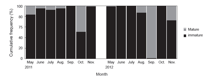 Cumulative frequency (%) comparing the relative biomass of mature and immature anchovy Engraulis japonicus in each month caught during a set net fishery (2011-2012).