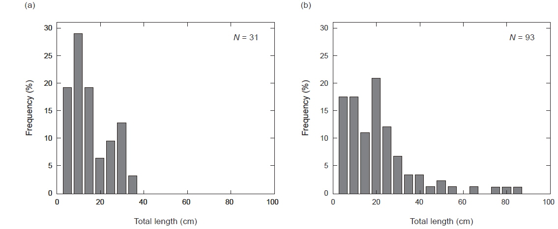 Length frequency distribution obtained from acoustic camera in (a) St.1 and (b) St.2 on May 27, 2014.