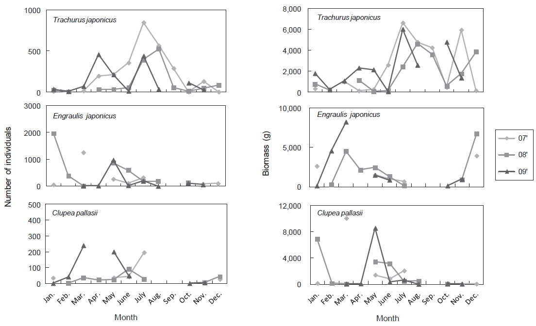 Monthly variation in number of individuals and biomass (g) of Trachurus japonicus, Engraulis japonicus and Clupea pallasii collected in coastal waters of Sirang-ri, Gijang-gun from 2007 to 2009.