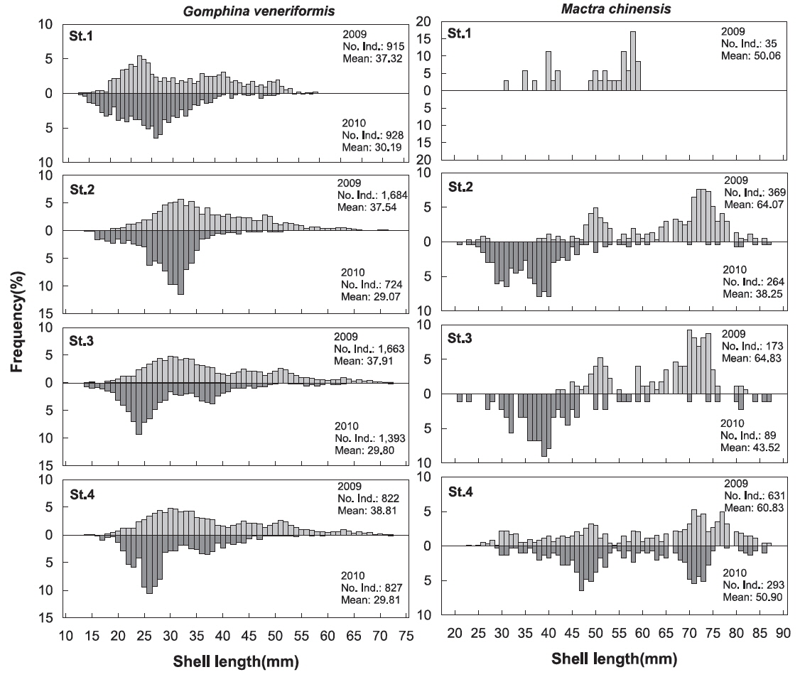 Length frequency distribution of Gomphina veneriformis and Mactra chinensis by year and station in the Uljin marine ranching area from 2009 to 2010.