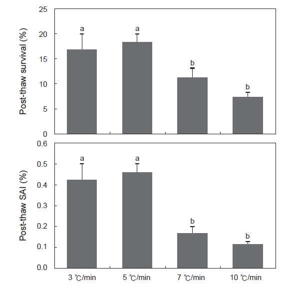 Post-thaw survival and activity index (SAI) of sperm suspended in 10% DMSO, equilibration time of 30 min in 0.25 mL or 0.5 mL straw. *Significant difference in straw size (P<0.05).