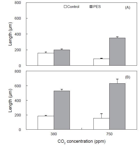 Effects of CO2 concentration and nutrient levels on the growth of Ulva australis germlings. Germlings were cultured for 10 days under 50 (A) and 100 μmol photons m？2s？1 (B). Vertical bars indicate standard errors (n = 3 replicates).