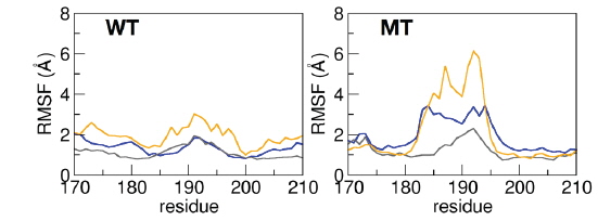 Root mean square fluctuations (RMSF) around loop C region of three α subunits of wild type (WT) and mutant type (MT). Each RMSF was calculated by residue base (Cα atoms). The colors are same as ones used in Fig. 1.