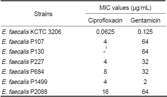 Minimum inhibitory concentration (MIC) of antibiotics against Enterococcus faecalis strains