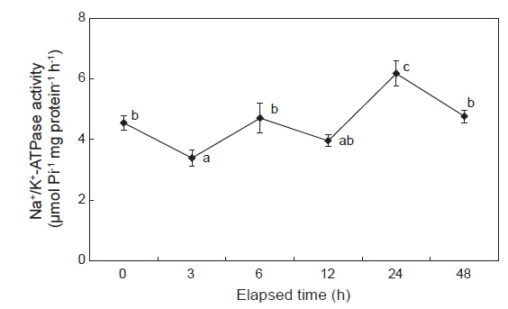 Time course of changes in gill Na+/K+-ATPase activity of black sea bream Acanthopagrus schlegelii after transfer from 33 to 5 psu. Values are mean±S.E.M. (n=8). Different letters represent significant difference among groups (P <0.05).