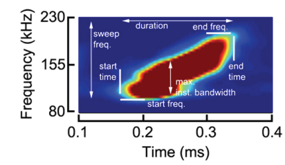 Parameters of the echo feature extracted from the timefrequency representation showing the species-dependent characteristics of fish.