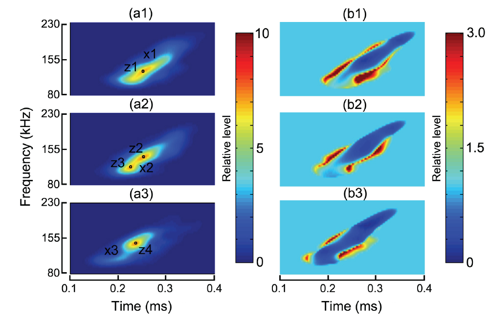 Time-frequency response patterns of broadband echoes from chub mackerel Scomber japonicus (a1), goldeye rockfish Sebastes thompsoni (a2) and fat greenling Hexagrammos otakii (a3) before (a1, a2, a3) and after removing (b1, b2, b3) the effect of transmitting and receiving characteristics of chirp echo sounder. The regions of x and z indicate the destructive and constructive effects.