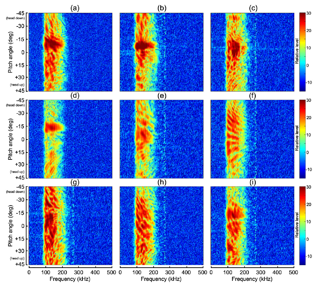 Frequency spectrum of broadband echo signals as a function of pitch angle for nine fish species. Changes in the spectrum patterns among nine fish species are due to the complex constructive and destructive interference occurring within the fish. This interference patterns and complexity contain the biological information of interest. (a) large yellow croaker Larimichthys crocea, (b) chub mackerel Scomber japonicus, (c) fat greenling Hexagrammos otakii, (d) konoshiro gizzard shad Konosirus punctatus, (e) whitesaddled reeffish Chromis notata notata, (f) black scraper Thamnaconus modesutus [K], (g) black rockfish Sebastes schlegeli, (h) goldeye rockfish Sebastes thompsoni, (i) striped beakperch Oplegnathus fasciatus.