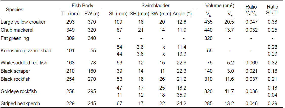 Morphometric measurements of swimbladders for 9 fish species obtained from X-ray images