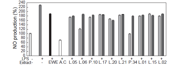 Effect of lactic acid bacteria fermentation on cell (Raw 264.7 cells) based nitric oxide assay of Eisenia bicyclis water extract. Results are means ±SD of triplicate data. ■, blank; ■, lipopolysaccharide(LPS, 1 μg/mL); □, A.C (ascorbic acid, 500 μg/ mL); ■, EWE (E. bicyclis water extract, 500 μg/mL); ■, E. bicyclis water extract fermented by lactic acid bacterial strains for 12 h (500 μg/mL); ■, E. bicyclis water extract fermented by lactic acid bacterial strains for 24 h (500 μg/mL). Bacterial strains were the same as listed in Fig. 1.