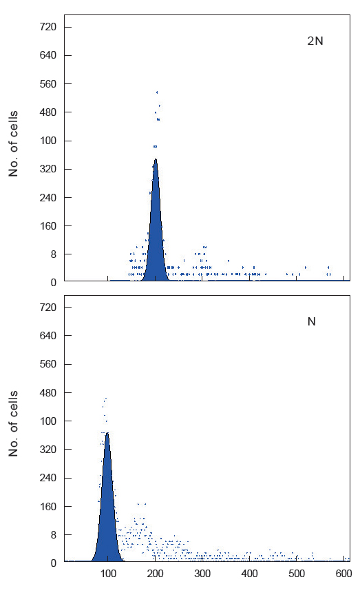Flow cytometric histograms for DNA content in diploid (2N) and haploid (N) Paralichthys olivaceus.